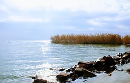 巴拉頓湖,水表面,湖