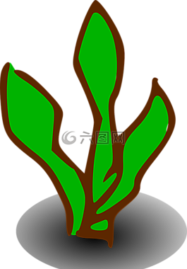 跡象,植物,符號