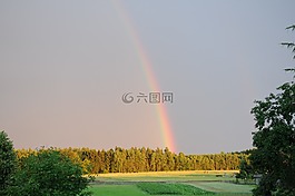 彩虹,森林,天空