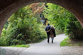 橋,對,夫婦