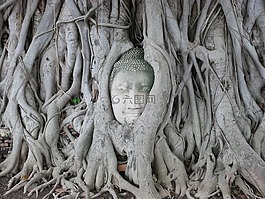 泰國,佛,措施