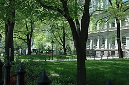 紐約市,大會堂,公園
