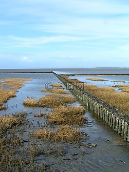 东弗里斯,海岸,北海