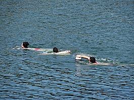 游泳,海洋,藍色