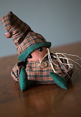 填充毛絨的玩具,鼠標(biāo),檢查衣服