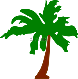 棕櫚,植物,樹