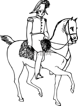 動物,馬,騎馬