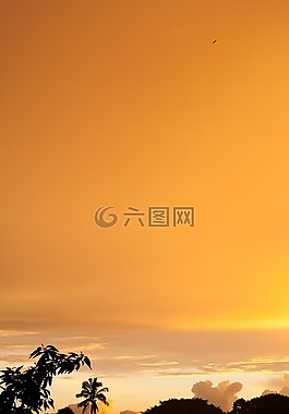 景觀,太陽,陽光