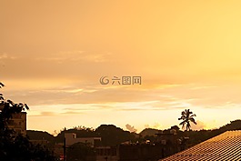 景觀,太陽,陽光