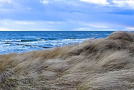 性質(zhì),海,海岸