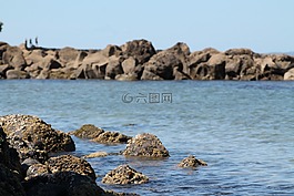 海灘,石頭,海