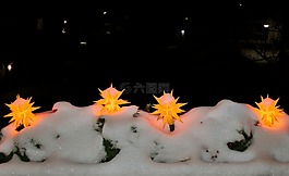 一品紅,冬天,雪