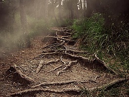 路徑,根,山