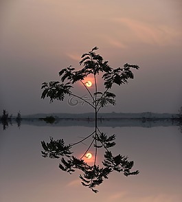 日落,晚上,太陽(yáng)