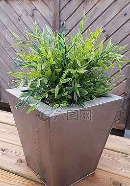鮮花,布什,裝飾
