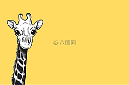 長頸鹿,野生動物園,動物