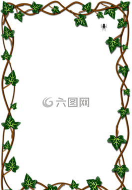 葉,常春藤,植物區(qū)系