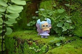 自然,葉,植物區(qū)系