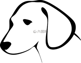 動物,狗,鼓舞人心的