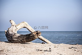 海,水域,海灘