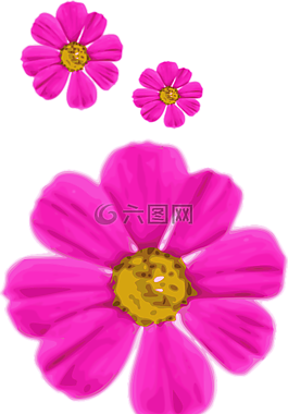 花,粉紅色,開花