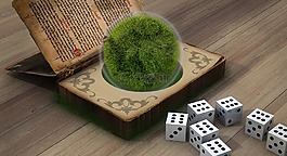 秘密,图书目录,草