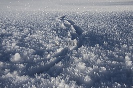 eiskristalle,雪,追蹤