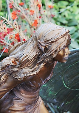 仙女,花園,魔術(shù)