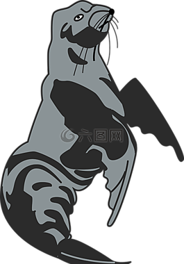 動(dòng)物,哺乳動(dòng)物,海洋