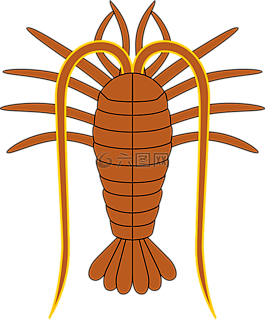 動(dòng)物,甲殼動(dòng)物,龍蝦