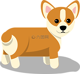 柯基犬图片,狗,小狗
