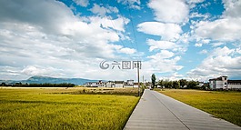 道路,稻田,蓝天白云