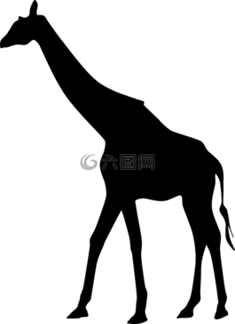 非洲,動物,長頸鹿