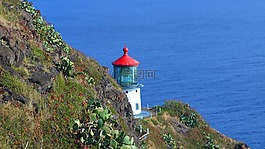 燈塔,夏威夷,海洋