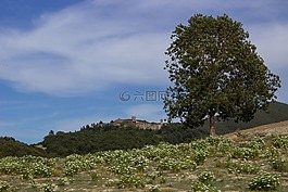 托斯卡納,景觀,寬