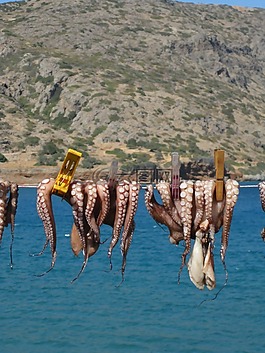魷魚,八達通,克里特島