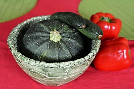 西葫蘆,綠色,蔬菜