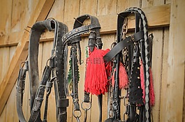 馬,工具,馬具