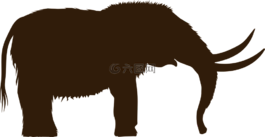 動(dòng)物,象,滅絕