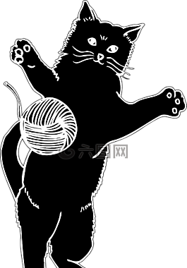動物,貓,寵物