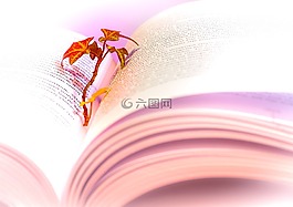 本書,閱讀,文獻