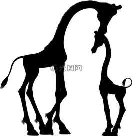 非洲,动物,婴儿