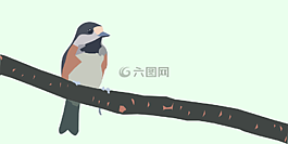 鳥,枝杈,山雀