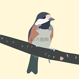 鳥,枝杈,山雀