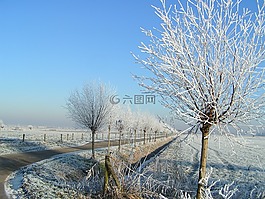 冬天,成熟,白
