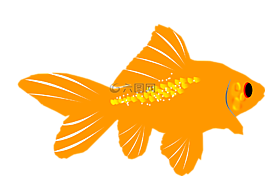 水族館,魚,金魚
