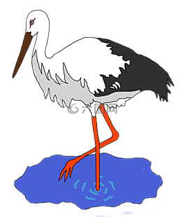 鳥,池,鸛