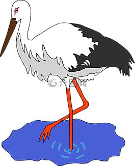 鳥,池,鸛