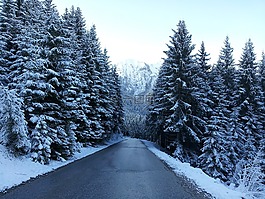 路,冬天,雪