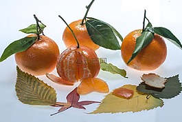 静物,橘子,食品